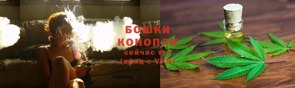 винт Белокуриха